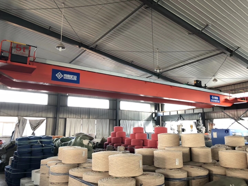 蕪湖縣立新企業葫蘆雙梁安裝現場