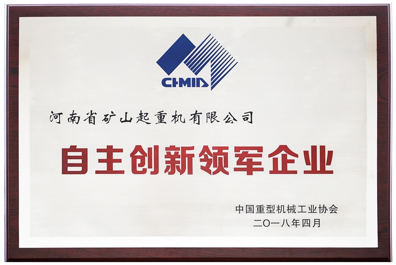 自主創(chuàng)新領軍企業(yè)